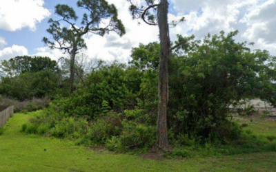 Residential lot ready to be cleared & built on! 3812 Florida Ave Sebring FL 33872