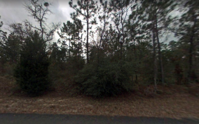 Peaceful, tranquil area in Dunnellon FL – NW Aspen Lane & NW Redwood Dr (Marion County)
