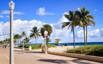 Land Investment: Should You Invest In Land For Sale In Florida?